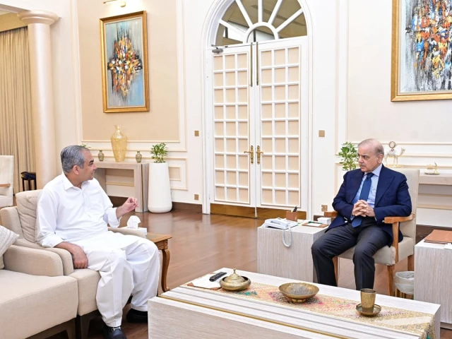 PM Shehbaz approves spectators’ presence for HBL PSL playoff matches: Naqvi | The Express Tribune