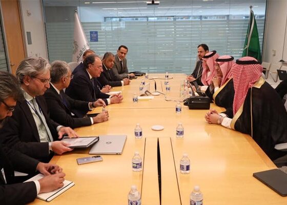 Pakistan to receive bn additional support from Saudi Arabia: finance minister