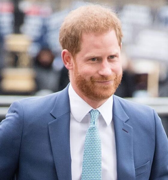 Prince Harry secretly joins royal family celebration, Palace shares update