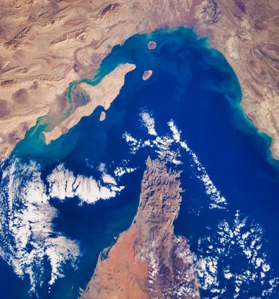 Strait of Hormuz disruption ‘systemic shock’ threatening SE Asia: ERIA