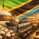Tanzania eyes textile transformation to unlock untapped potentials