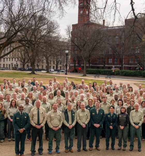Trump administration dismantling US Forest Service: Here’s what it means
