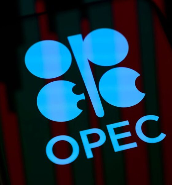 UAE To Exit OPEC After Nearly 60 Years
