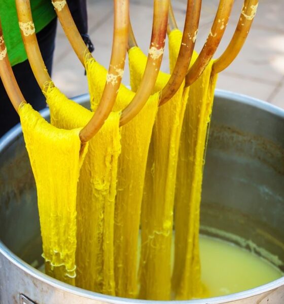 UK’s SwitchDye gets investment to scale eco-friendly dyeing