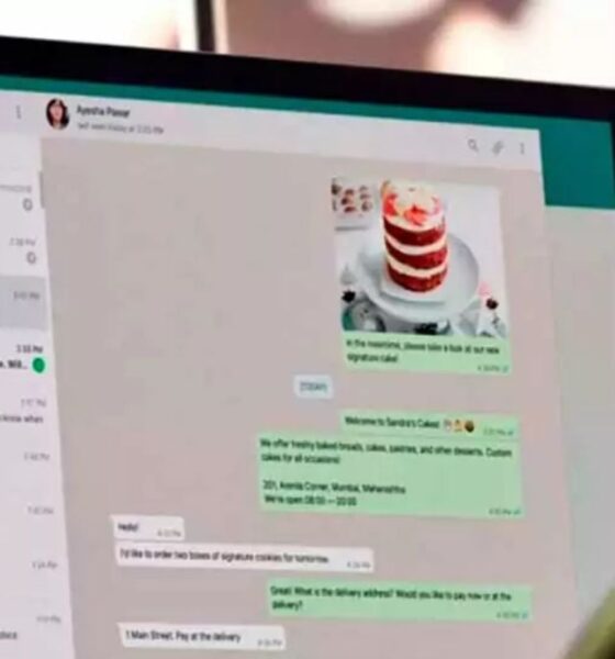 WhatsApp Web just got 49 new themes: Here’s everything to know