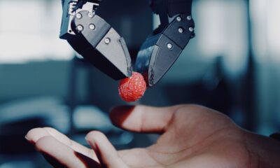 When Robots Have Their ChatGPT Moment, Remember These Pincers