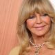 Why did Goldie Hawn go on an acting hiatus?