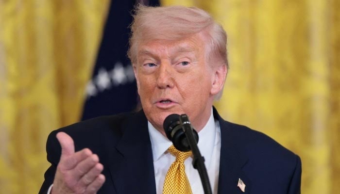 Trump reversed Hormuz ship escort plan after Saudi blocks US base, airspace access: report