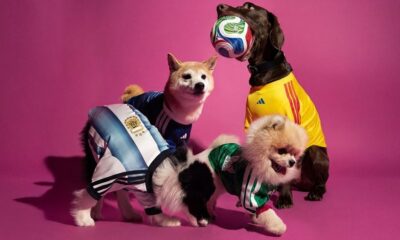 Adidas launches FIFA World Cup 2026 pet jersey collection