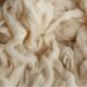 Australian wool prices slip as fine merino demand weakens