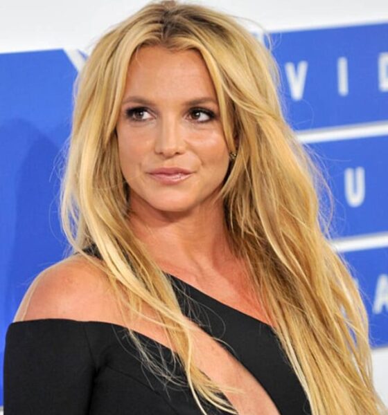 Britney Spears case ends with guilty plea in reckless driving matter