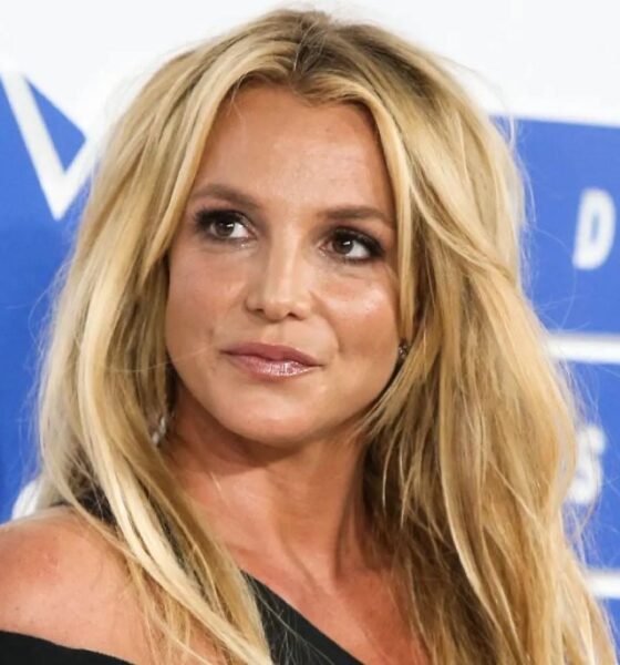 Britney Spears police report sheds new light on singer’s March DUI arrest