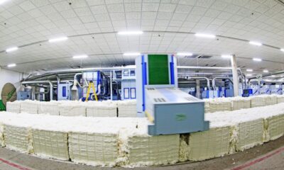 Cotton productivity mission to strengthen India’s FTA exports: CITI