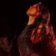 Dua Lipa’s ‘Live From Mexico’ concert film is out now