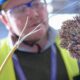 Fibre flourishes across Europe but performance focus shifts | Computer Weekly