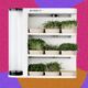Found: The Easiest Microgreens You’ll Ever Grow