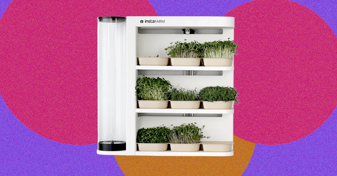 Found: The Easiest Microgreens You’ll Ever Grow