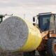 Global cotton production, stocks to fall; consumption to rise: WASDE
