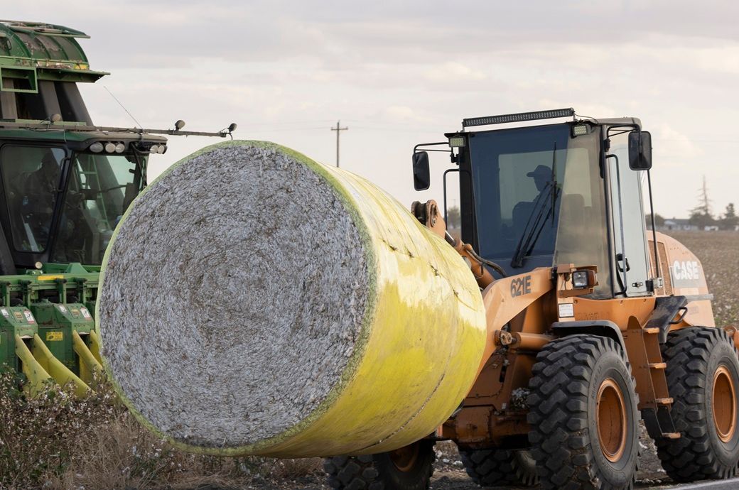 Global cotton production, stocks to fall; consumption to rise: WASDE