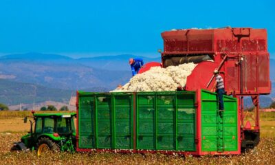 ICE cotton witnesses sharp rise on weaker dollar, strong exports