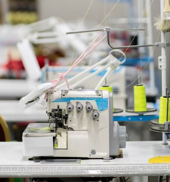India’s PDS FY26 gross margin improves to 20.6%, GMV up 5%