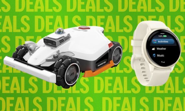 Memorial Day Deals on Our Top Smart Bird Feeders, Camera Bags, and More