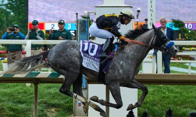 Napoleon Solo wins 151st Preakness Stakes