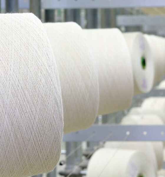 North India cotton yarn prices rise despite weak domestic demand