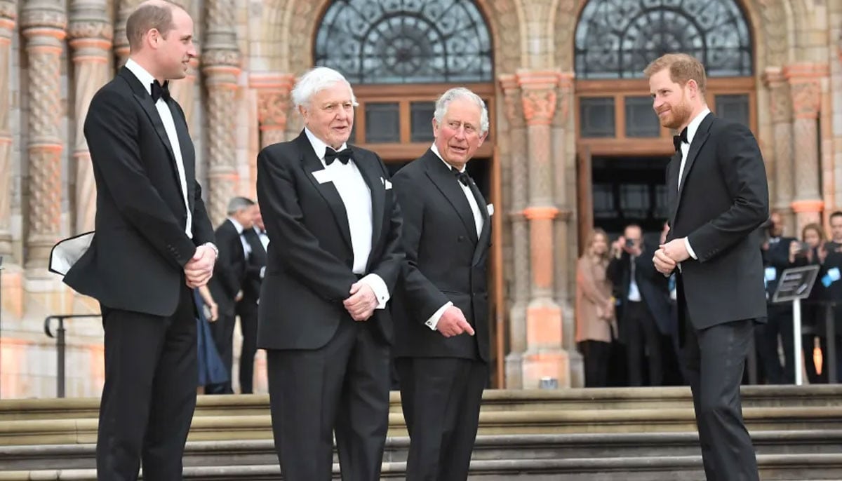 Prince Harry pays homage to key figure who ‘inspires’ Prince William