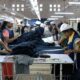 Rising costs push Sri Lankan apparel SMEs to the edge