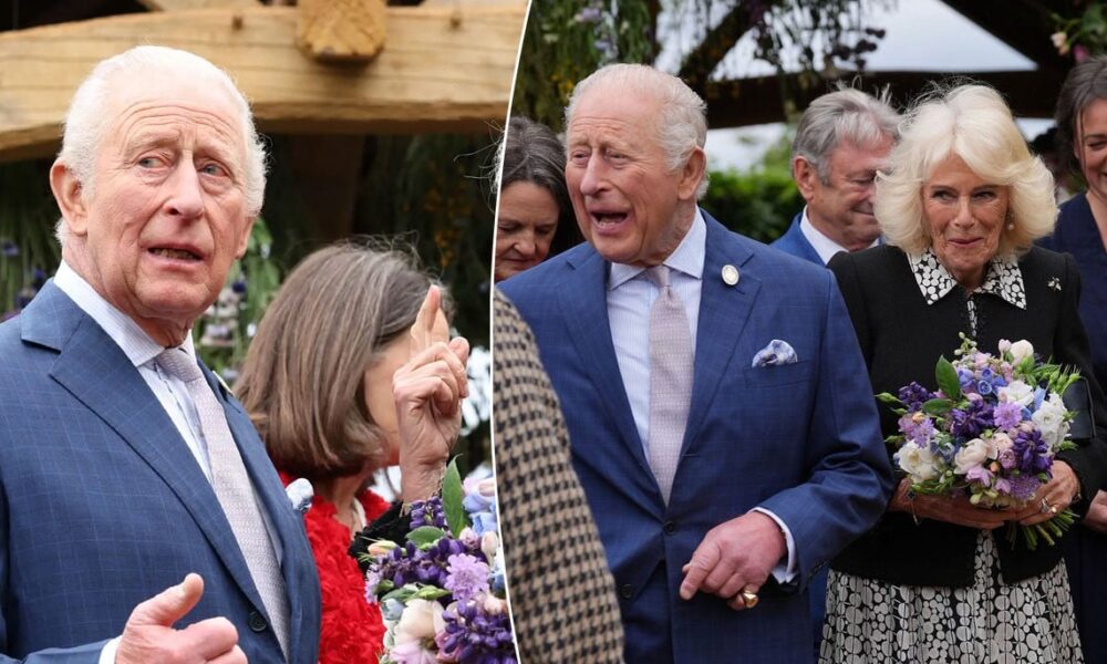 Royal family marks debut of ‘hidden’ member at special event