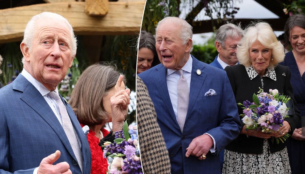 Royal family marks debut of ‘hidden’ member at special event