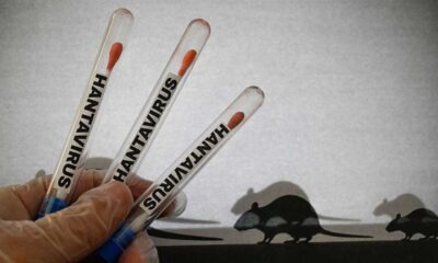 Symptoms, spread, how to stay safe