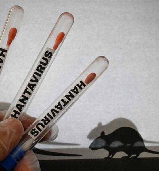 Symptoms, spread, how to stay safe