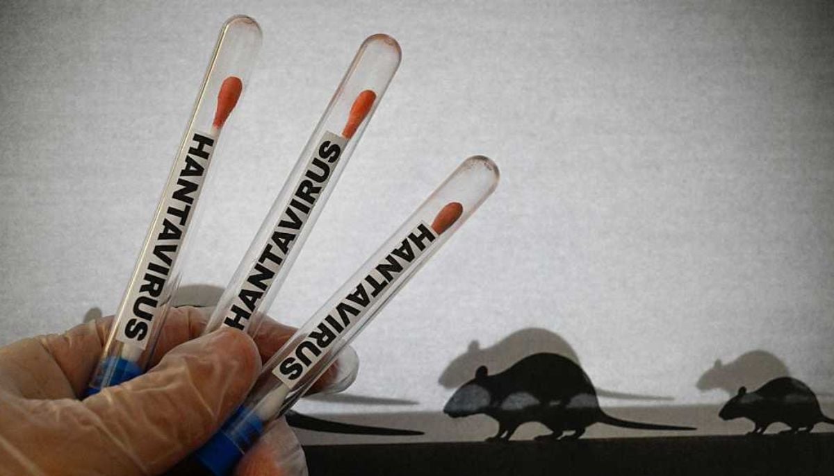 Symptoms, spread, how to stay safe