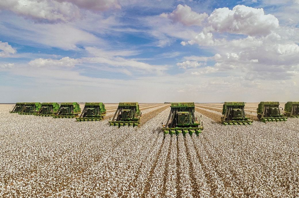 US cotton planting advances to 41%, concerns persist in Texas