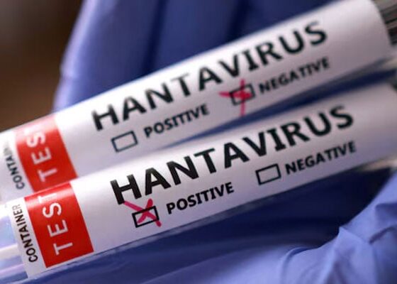 WHO says eight passengers tested positive for hantavirus