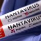 WHO says eight passengers tested positive for hantavirus