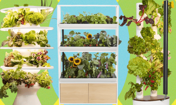Which Indoor Gardening System Is Worth the Price? I Tried Them All