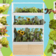 Which Indoor Gardening System Is Worth the Price? I Tried Them All