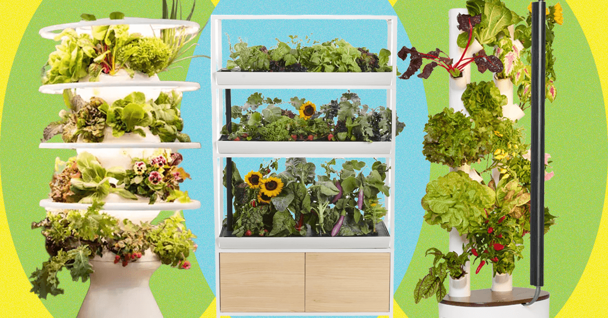Which Indoor Gardening System Is Worth the Price? I Tried Them All