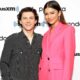Zendaya, Tom Holland expand family with ‘wonderful addition”
