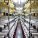 Europe’s industrial prices climb further in April: Eurostat
