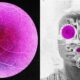 Longevity Startup Doses First Human in Bid to Reverse Age-Related Sight Loss